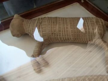 Gato momificado. Gato momificado.