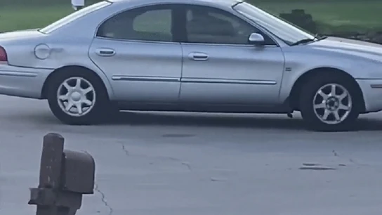 Imagen del vehículo en el que un perro estuvo conduciendo durante una hora Imagen del vehículo en el que un perro estuvo conduciendo durante una hora