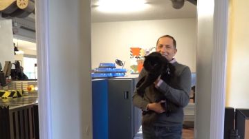 Reencuentro de un hombre con su gata tras cinco años