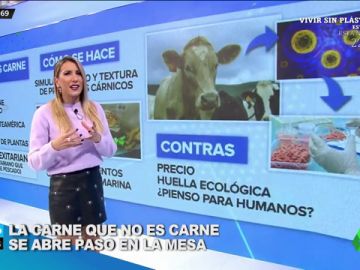 Llega a la mesa la carne que no es carne para un modelo de consumo más ecológico Llega a la mesa la carne que no es carne para un modelo de consumo más ecológico