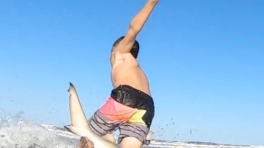 Captura del momento en el que el pequeño tiburón impacta contra la tabla Captura del momento en el que el pequeño tiburón impacta contra la tabla