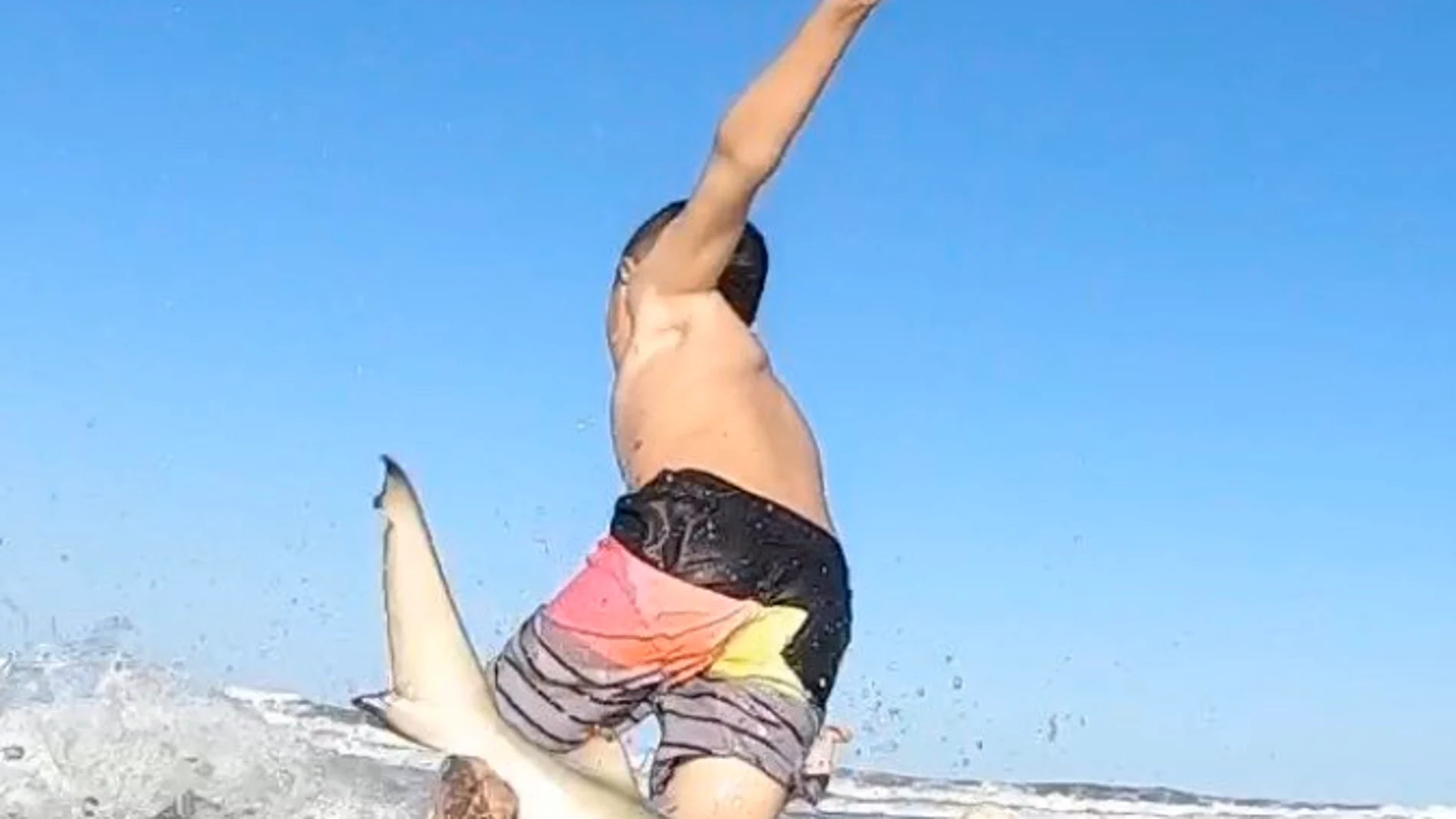 Captura del momento en el que el pequeño tiburón impacta contra la tabla