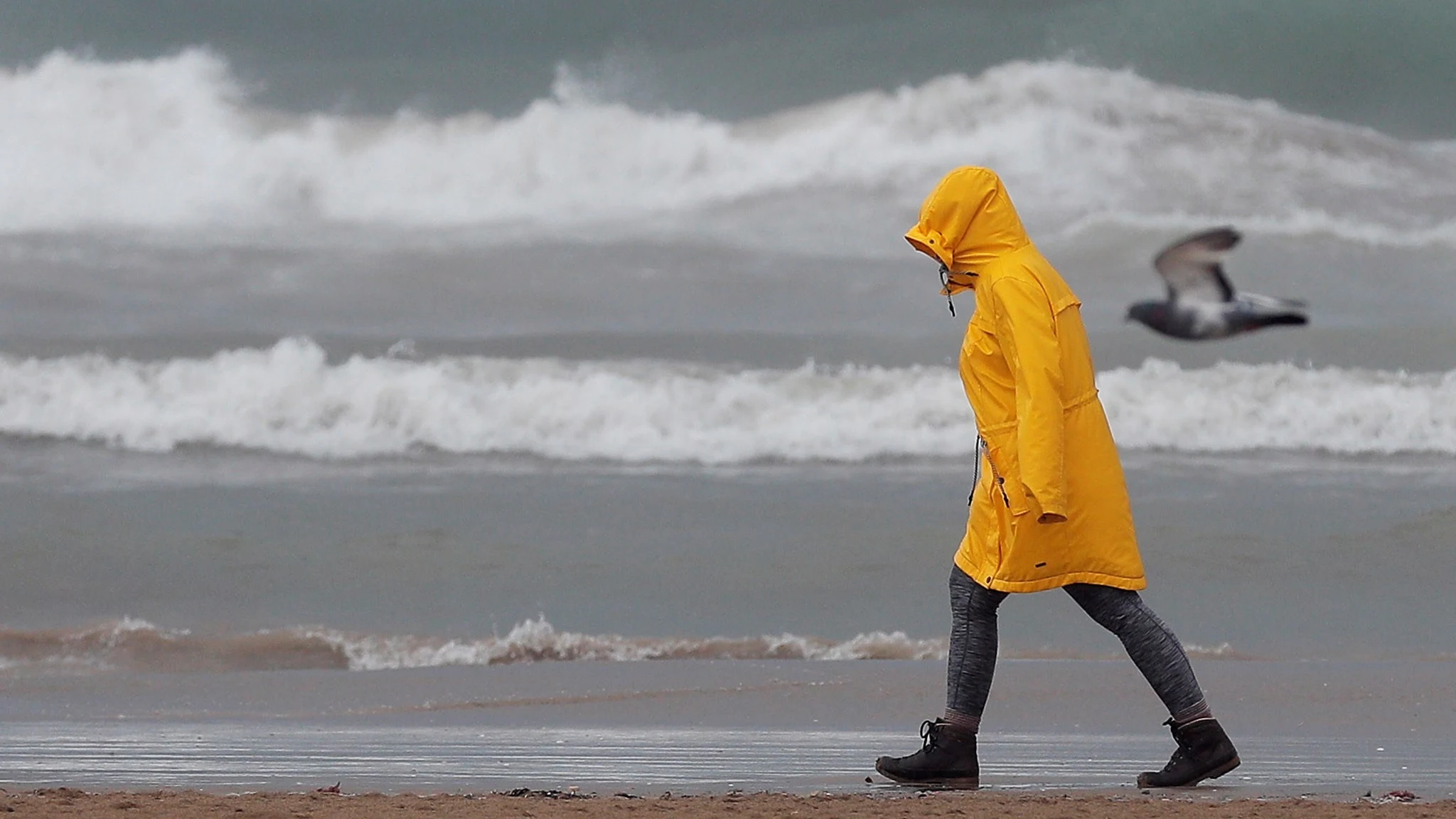 Una persona pasea por la playa de la Malvarrosa bien protegida contra la lluvia