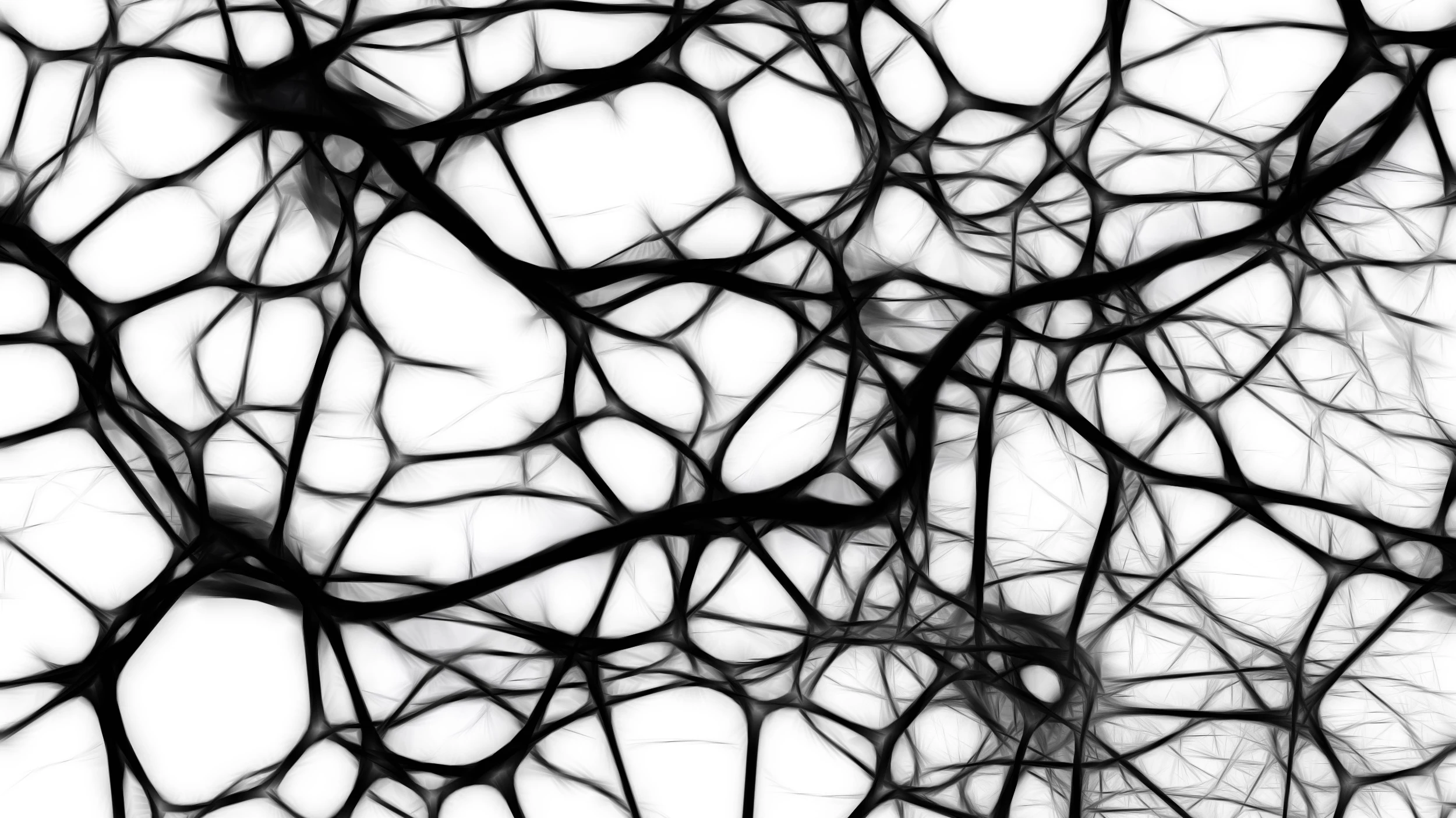 Neuronas Neuronas
