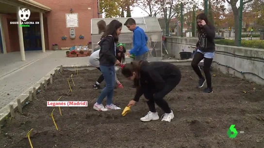 La educación, clave para salvar nuestro planeta: cómo aprender desde niños la importancia de proteger el medio ambiente La educación, clave para salvar nuestro planeta: cómo aprender desde niños la importancia de proteger el medio ambiente
