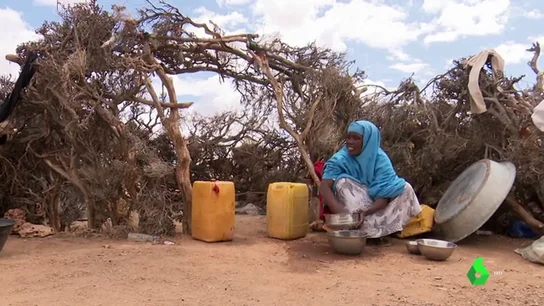 La emergencia climática devasta Somalilandia: ya ha matado a la mitad del ganado y hay 600.000 desplazados La emergencia climática devasta Somalilandia: ya ha matado a la mitad del ganado y hay 600.000 desplazados