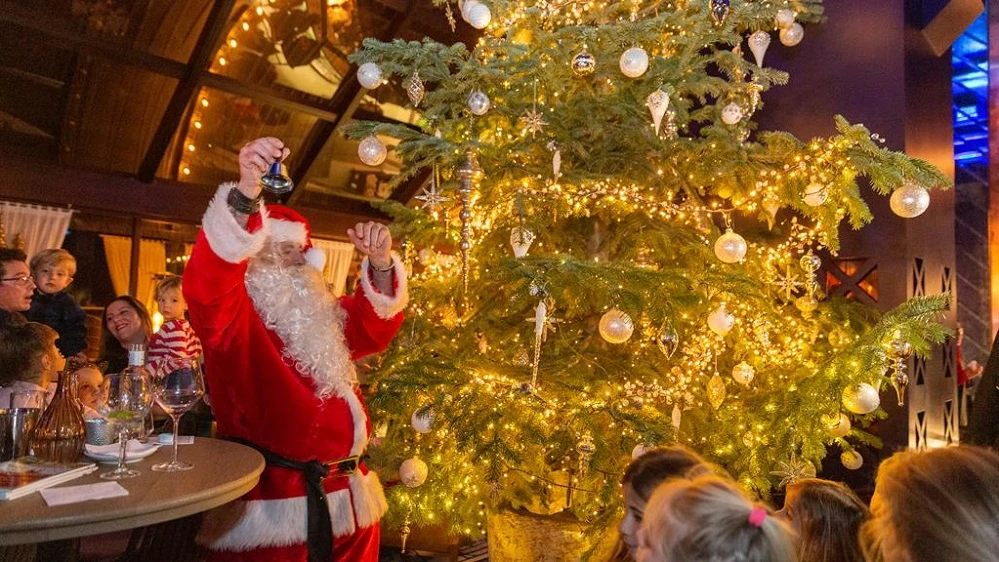 Imagen de la presentación del árbol Imagen de la presentación del árbol
