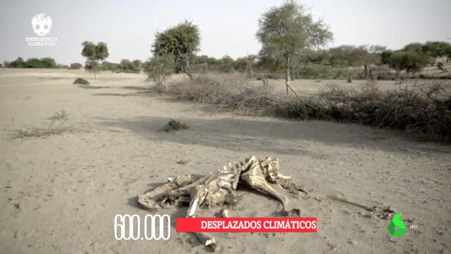 Vivir en Somalilandia, la prueba de las terribles consecuencias del cambio climático: la sequía lo ha arrasado todo Vivir en Somalilandia, la prueba de las terribles consecuencias del cambio climático: la sequía lo ha arrasado todo
