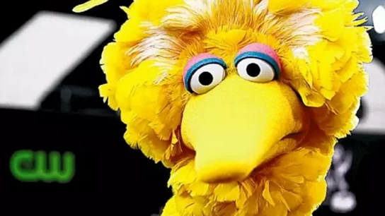 Imagen de archivo de la Gallina Caponata Imagen de archivo de la Gallina Caponata