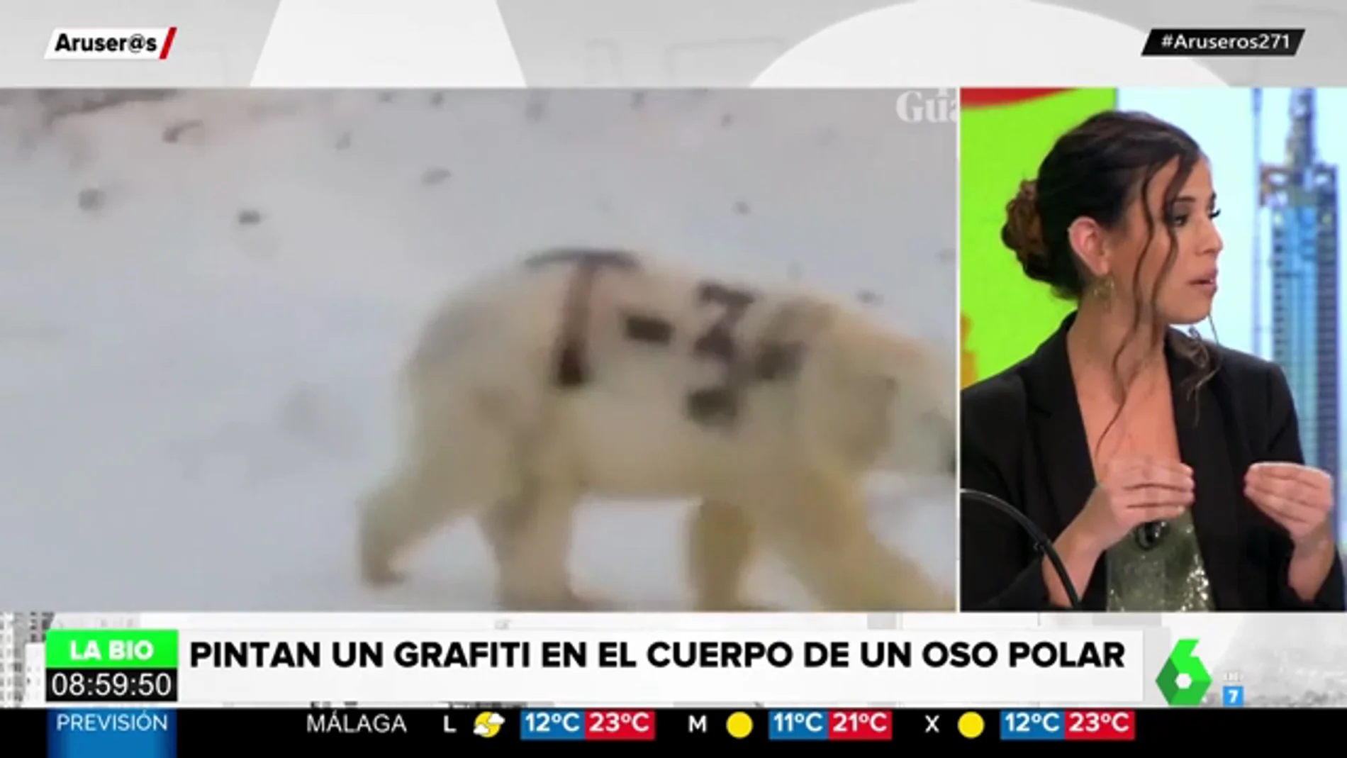 Por qué el grafiti pintado en un oso polar supone una condena a muerte para el animal