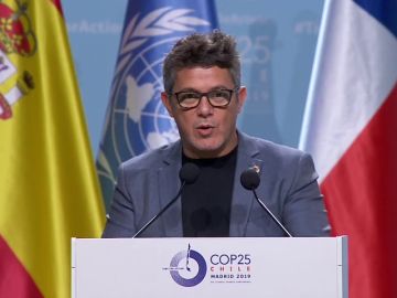 Alejandro Sanz estudiará la huella de carbono de sus conciertos: "Haré lo necesario para parar esto" Alejandro Sanz estudiará la huella de carbono de sus conciertos: "Haré lo necesario para parar esto"