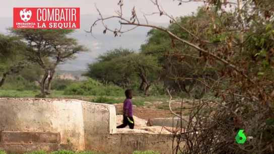 Desalinizadoras y semillas resistentes: así hace frente Somalilandia a la sequía Desalinizadoras y semillas resistentes: así hace frente Somalilandia a la sequía