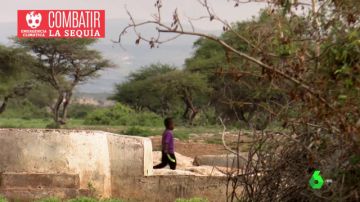Desalinizadoras y semillas resistentes: así hace frente Somalilandia a la sequía