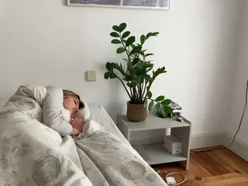 ¿Es malo dormir con plantas en la habitación? ¿Es malo dormir con plantas en la habitación?