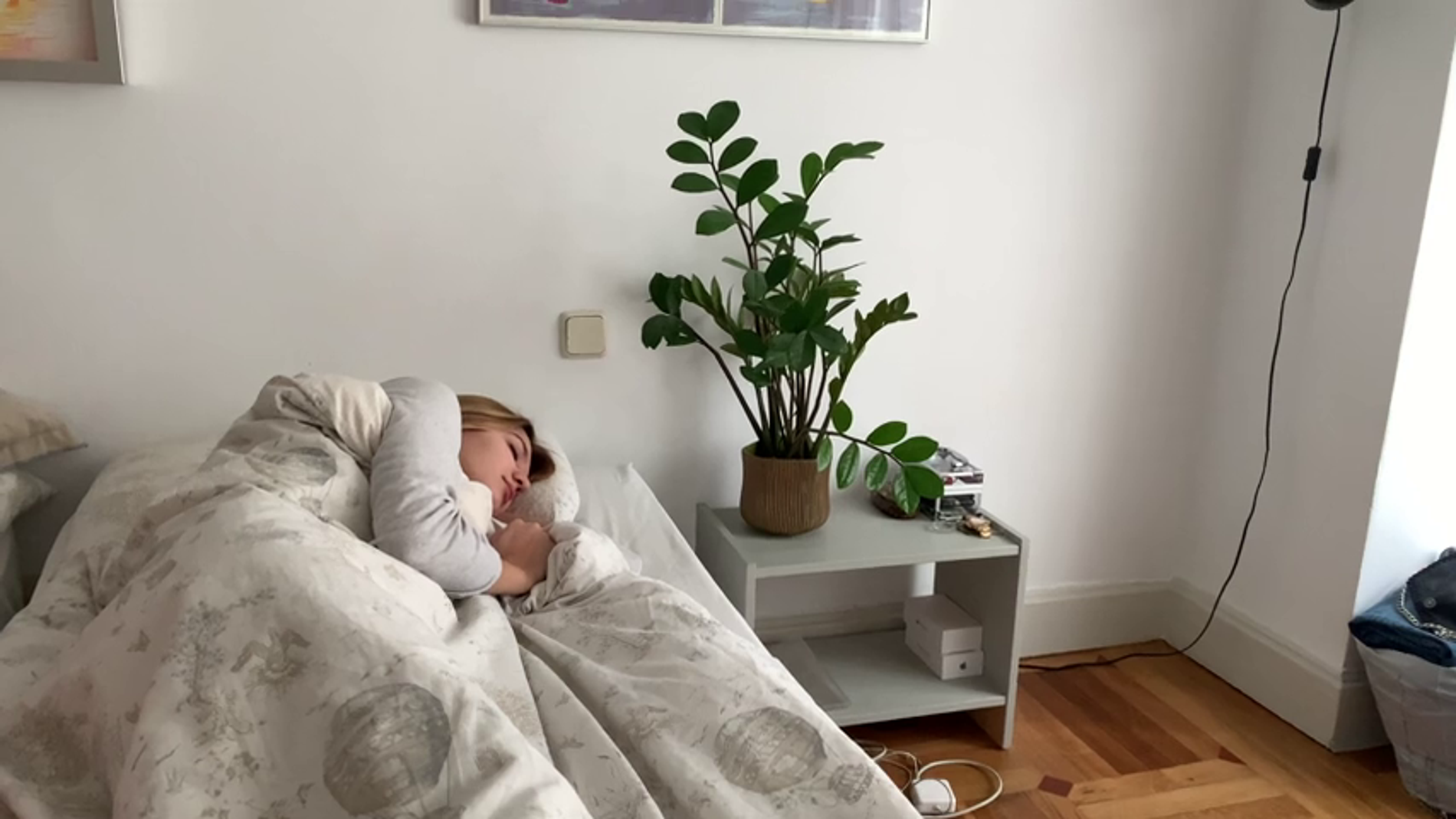 ¿Es malo dormir con plantas en la habitación?