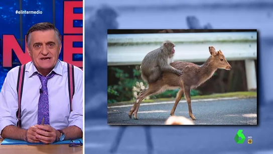 Wyoming explica el "sutil y elevado" mensaje de García-Page (PSOE): "No quiero vaselina para Reyes" Wyoming explica el "sutil y elevado" mensaje de García-Page (PSOE): "No quiero vaselina para Reyes"