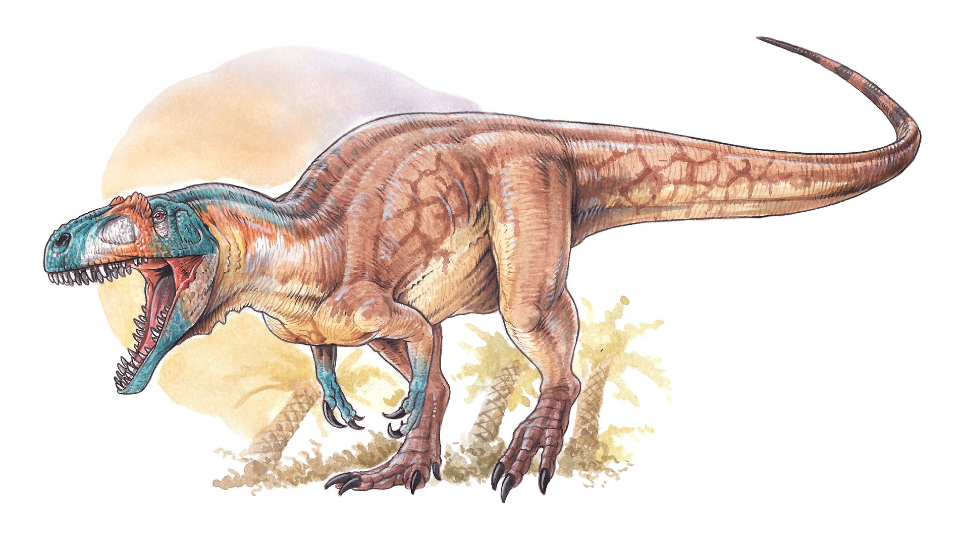 Hallan uno de los mas antiguos y completos dinosaurios carnivoros del Jurasico