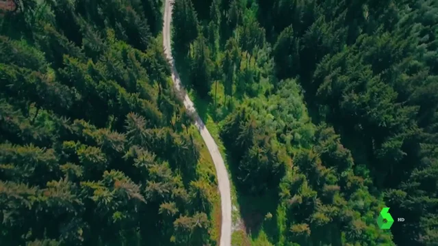 Así es el Pacto Verde Europeo: x