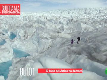 Desmentimos los bulos Desmentimos los bulos
