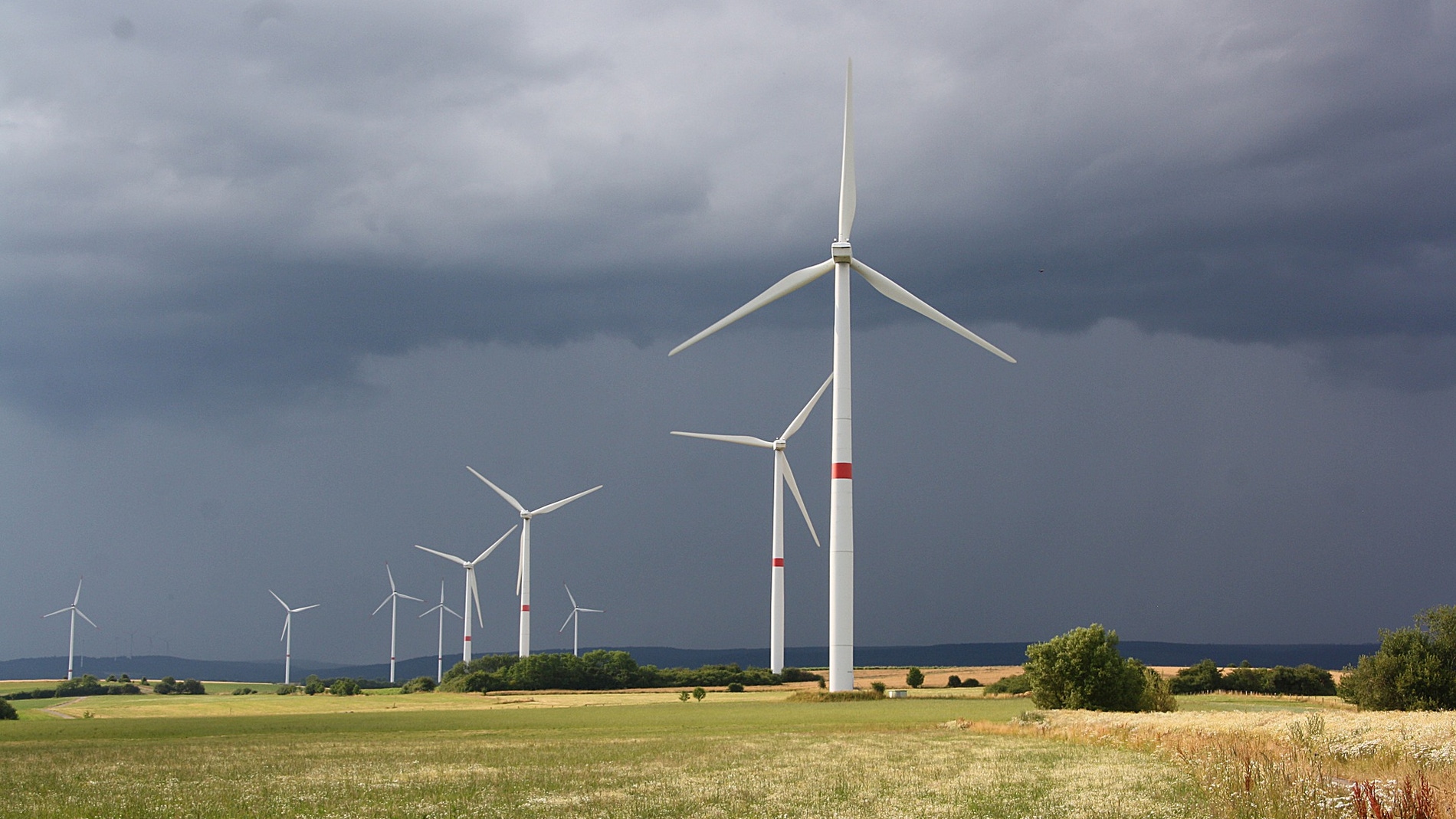 El nuevo acuerdo verde europeo no convence a todos