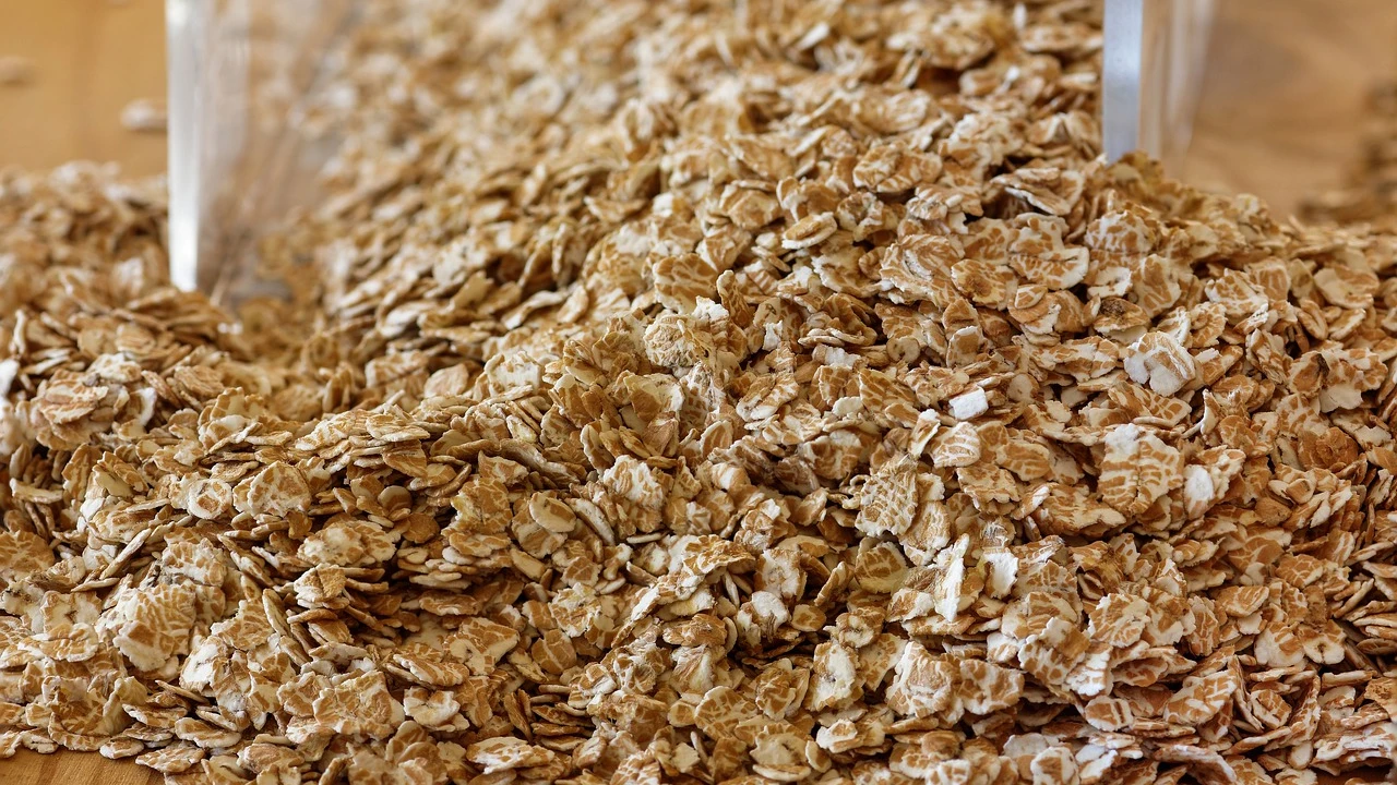 Avena