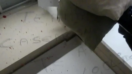 Mensajes de Flor a su novio asesinado Mensajes de Flor a su novio asesinado