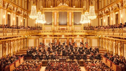 The Musikverein