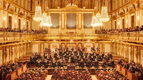The Musikverein The Musikverein