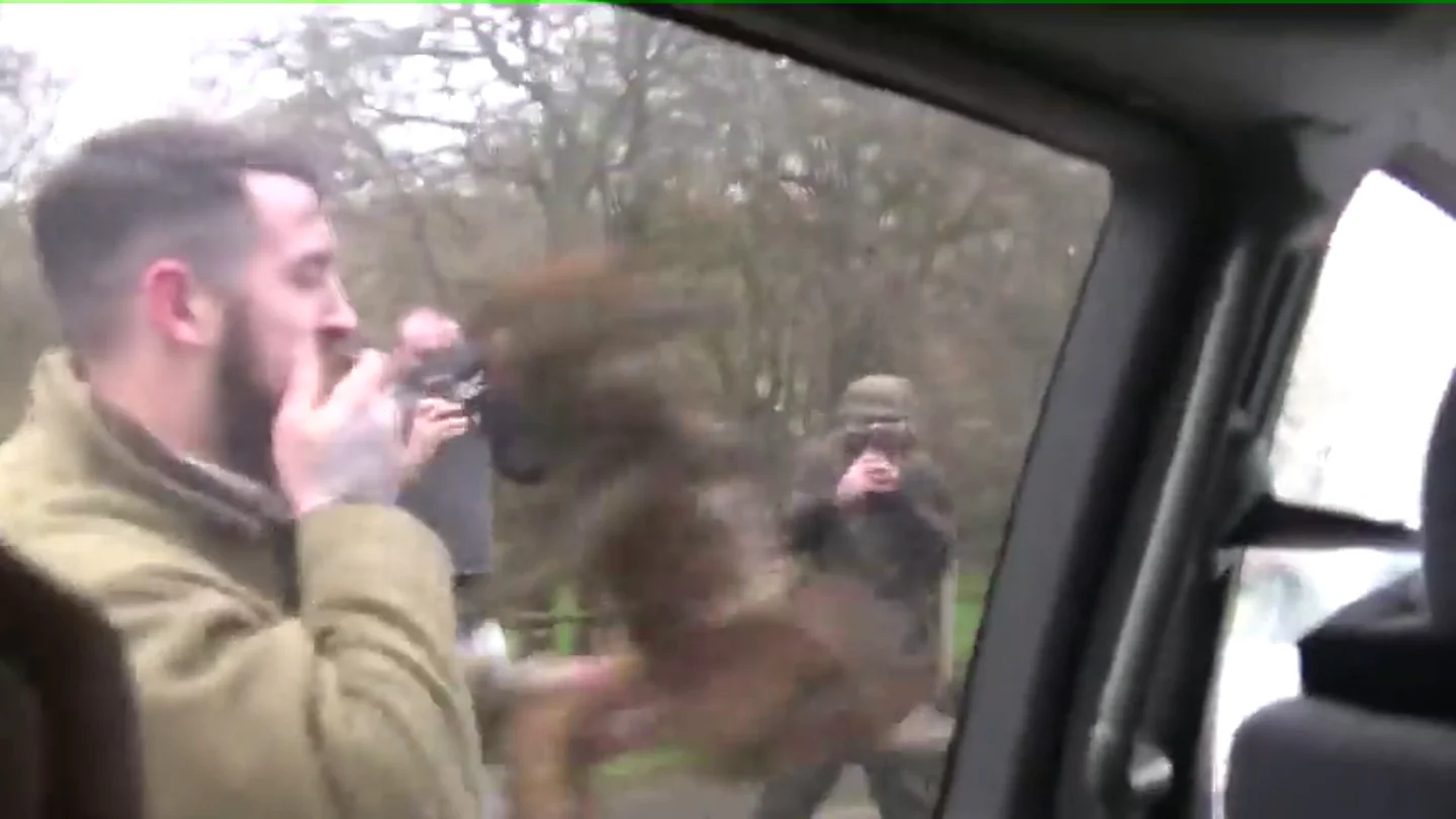 Graban a un cazador estampando en repetidas ocasiones un zorro contra el coche de una asociación animalista Graban a un cazador estampando en repetidas ocasiones un zorro contra el coche de una asociación animalista