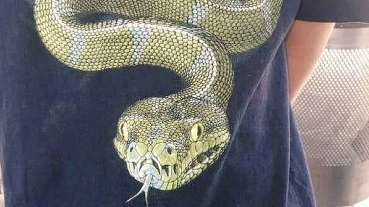Imagen de la camiseta de Stevie con la imagen de una serpiente. Imagen de la camiseta de Stevie con la imagen de una serpiente.