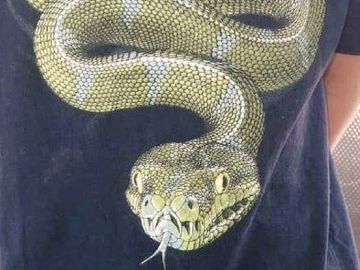 Imagen de la camiseta de Stevie con la imagen de una serpiente. Imagen de la camiseta de Stevie con la imagen de una serpiente.