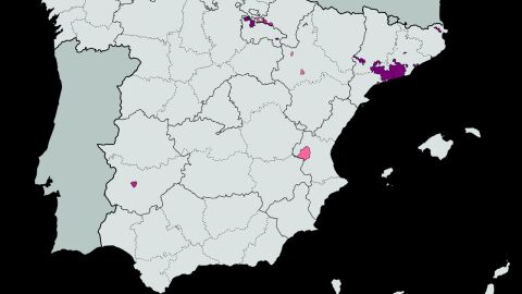 Mapa Región del Cava