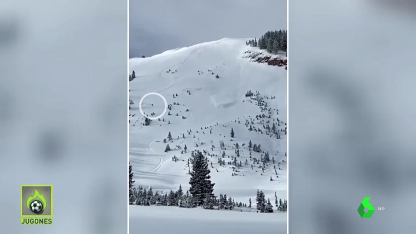 SNOWBOARD SNOWBOARD