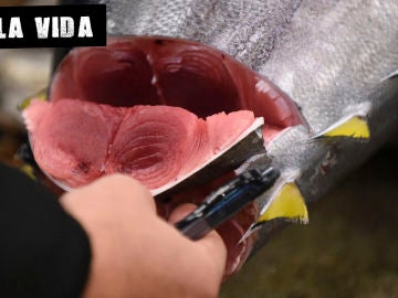 Imagen de un atún Imagen de un atún