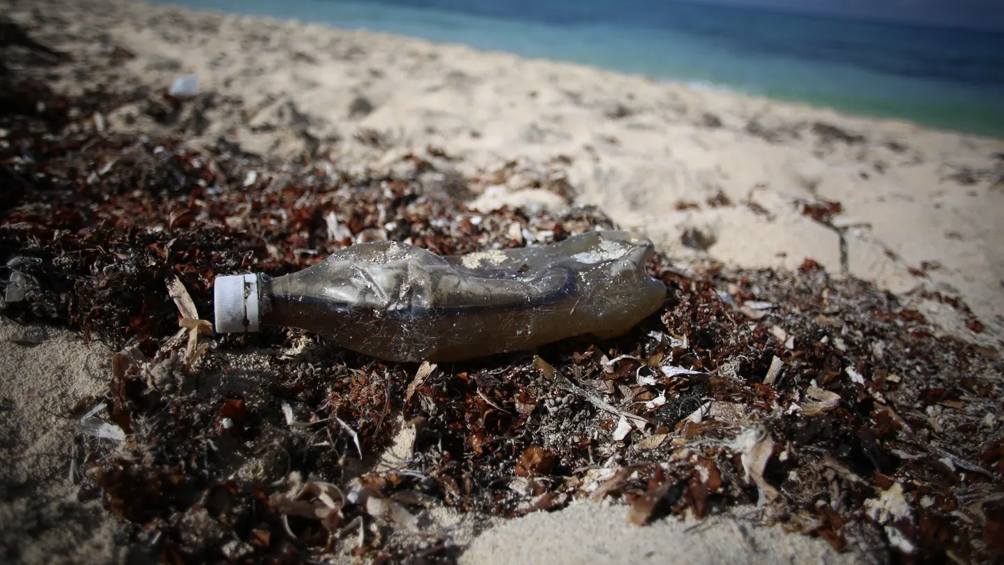 Desechos plásticos en una playa del Caribe mexicano Desechos plásticos en una playa del Caribe mexicano