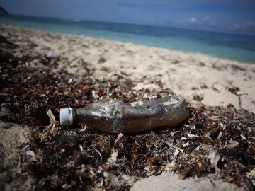 Desechos plásticos en una playa del Caribe mexicano Desechos plásticos en una playa del Caribe mexicano