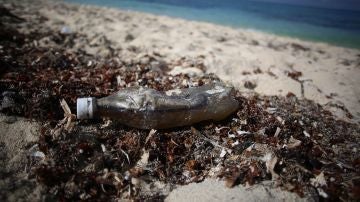 Desechos plásticos en una playa del Caribe mexicano