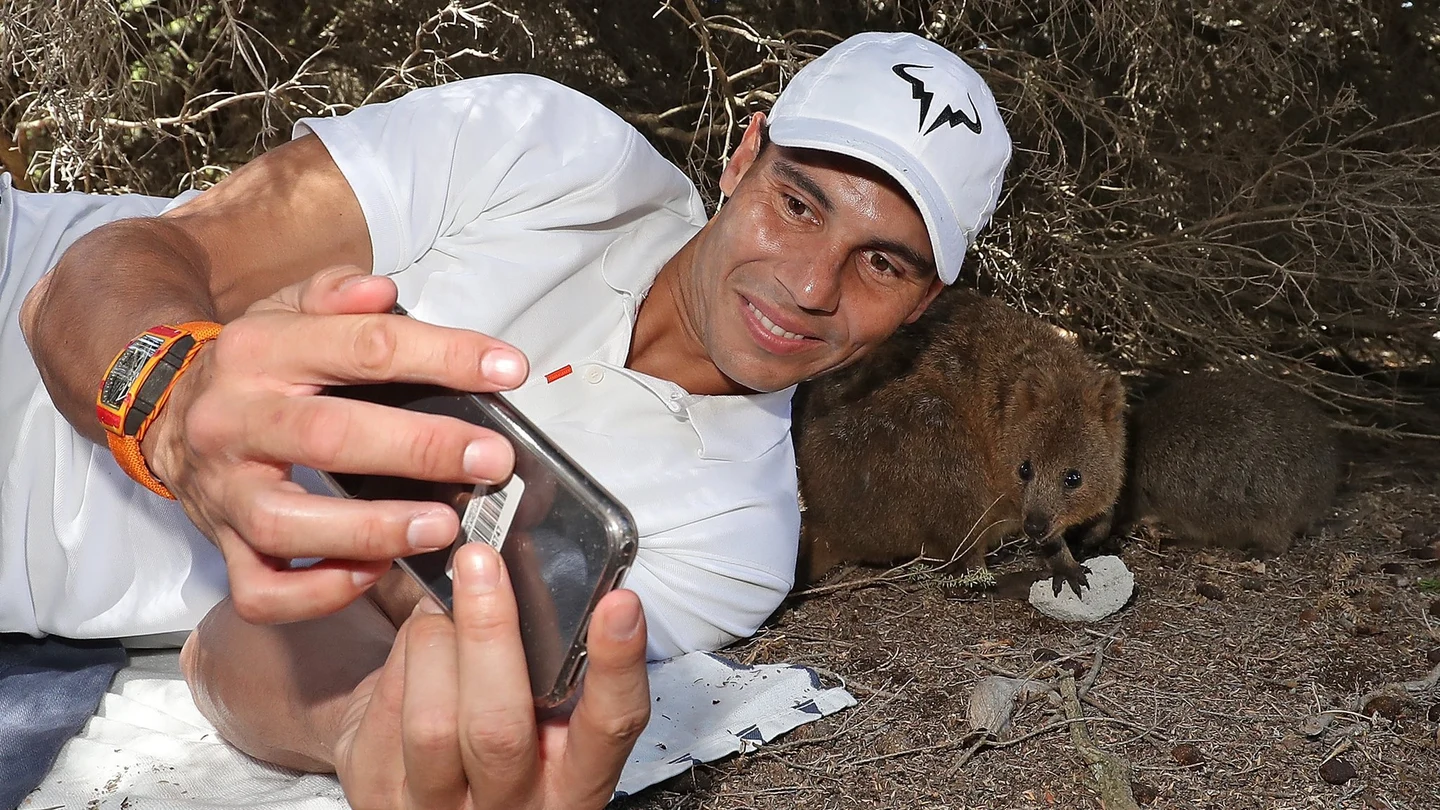 Rafa Nadal y un quokka Rafa Nadal y un quokka