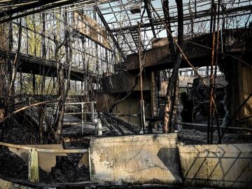 Daños ocasionados por el incendio en el zoo de Krefeld de Alemania Daños ocasionados por el incendio en el zoo de Krefeld de Alemania