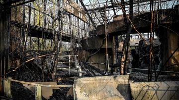 Daños ocasionados por el incendio en el zoo de Krefeld de Alemania