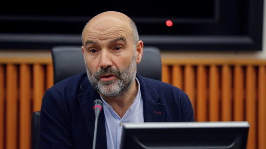 El diputado del Bloque Nacionalista Gallego (BNG), Néstor Rego El diputado del Bloque Nacionalista Gallego (BNG), Néstor Rego