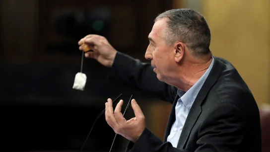 El diputado de Compromís, Joan Baldoví El diputado de Compromís, Joan Baldoví