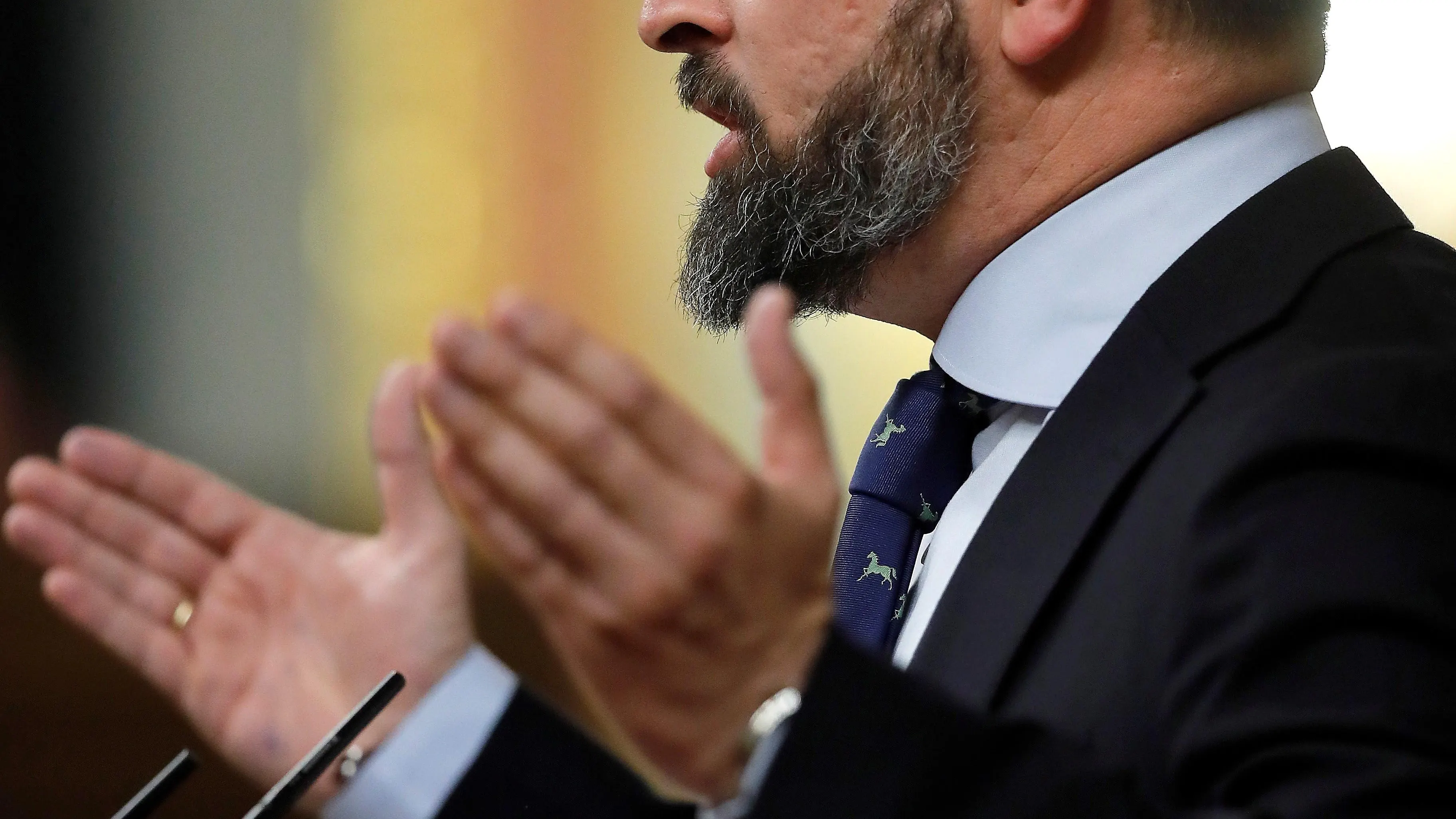 Santiago Abascal, presidente de Vox