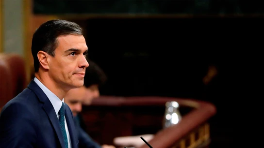 Pedro Sánchez en el Congreso de los Diputados Pedro Sánchez en el Congreso de los Diputados