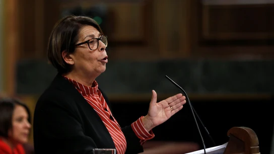 La diputada de Más País en el Congreso Inés Sabanés La diputada de Más País en el Congreso Inés Sabanés