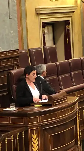 Adolfo Suárez Illana, de espaldas durante el discurso de Aizpurua (EH Bildu) Adolfo Suárez Illana, de espaldas durante el discurso de Aizpurua (EH Bildu)