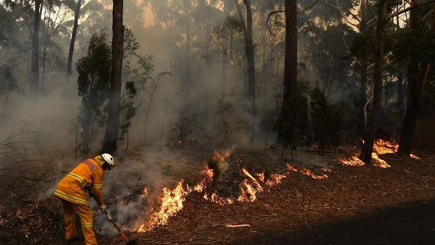 500 millones de animales han muerto a causa de los incendios en Australia.