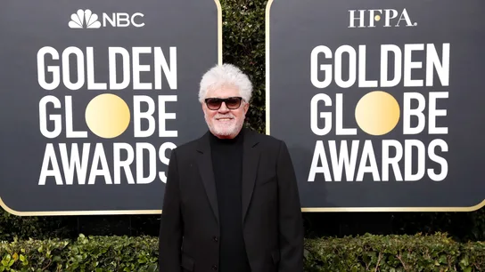 Pedro Almodóvar a su llegada a la gala de los Globo de Oro 2020 Pedro Almodóvar a su llegada a la gala de los Globo de Oro 2020
