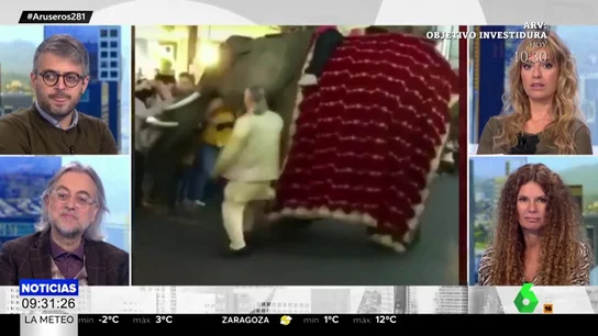 elefante cabalgata elefante cabalgata