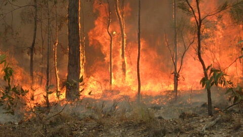 Australia durante los incendios de 2010